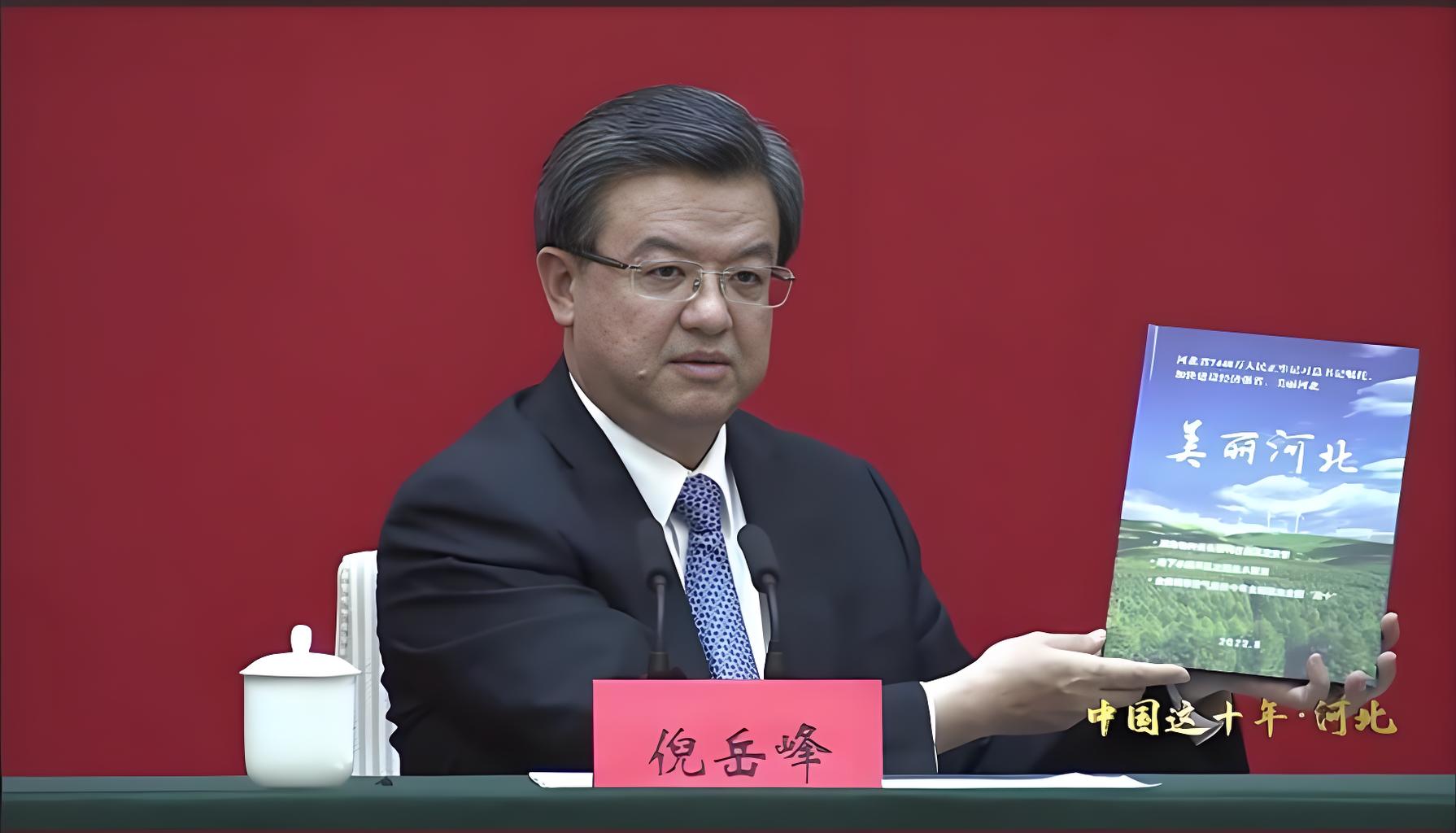倪岳峰率河北省代表团访问爱尔兰